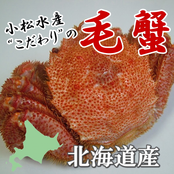 北海道産☆毛ガニ☆１尾☆食べ応え十分の500gサイズ