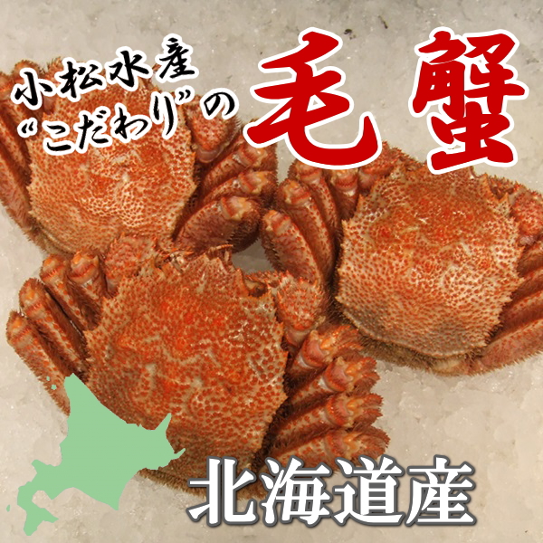 北海道産☆毛ガニ☆３尾☆食べ応え十分の500gサイズ