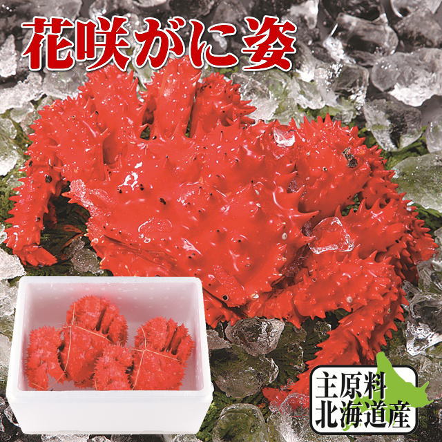 hanasaki-sugata