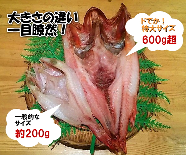 kinki-hikaku