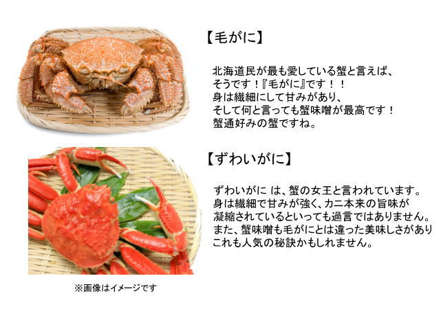 ずわいがに姿・毛がにセット